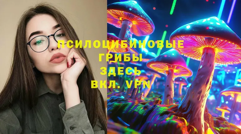 Псилоцибиновые грибы MAGIC MUSHROOMS  Кукмор 