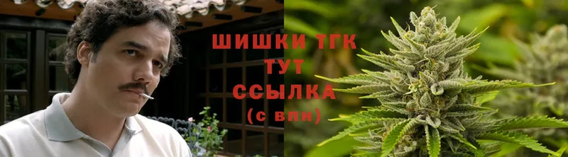 Бошки Шишки семена  Кукмор 